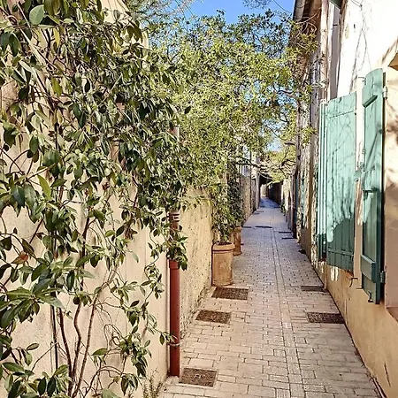 Le Papillon De Daire